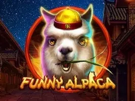 Funny Alpaca